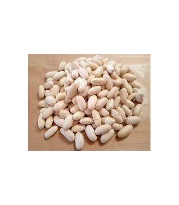 Alubia blanca canellini bolsa 10 kilos López Pelayo