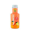 BISOLAN multifrutas botella 33cl caja 24ud